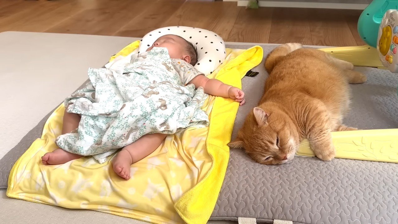 眠るふたり
