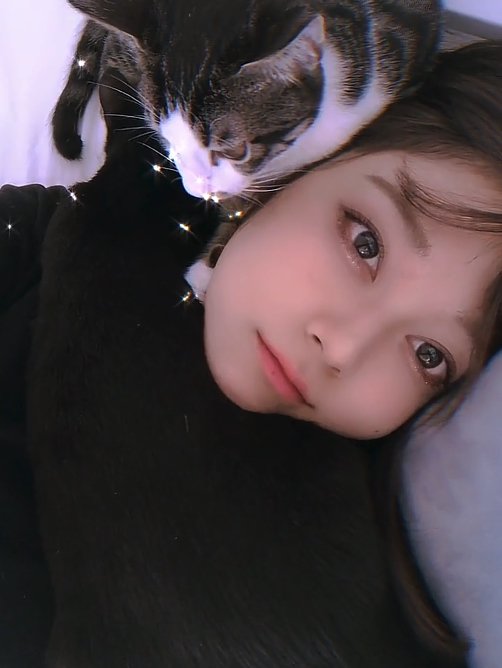 飼い主の顔周りにくっつく2匹の猫