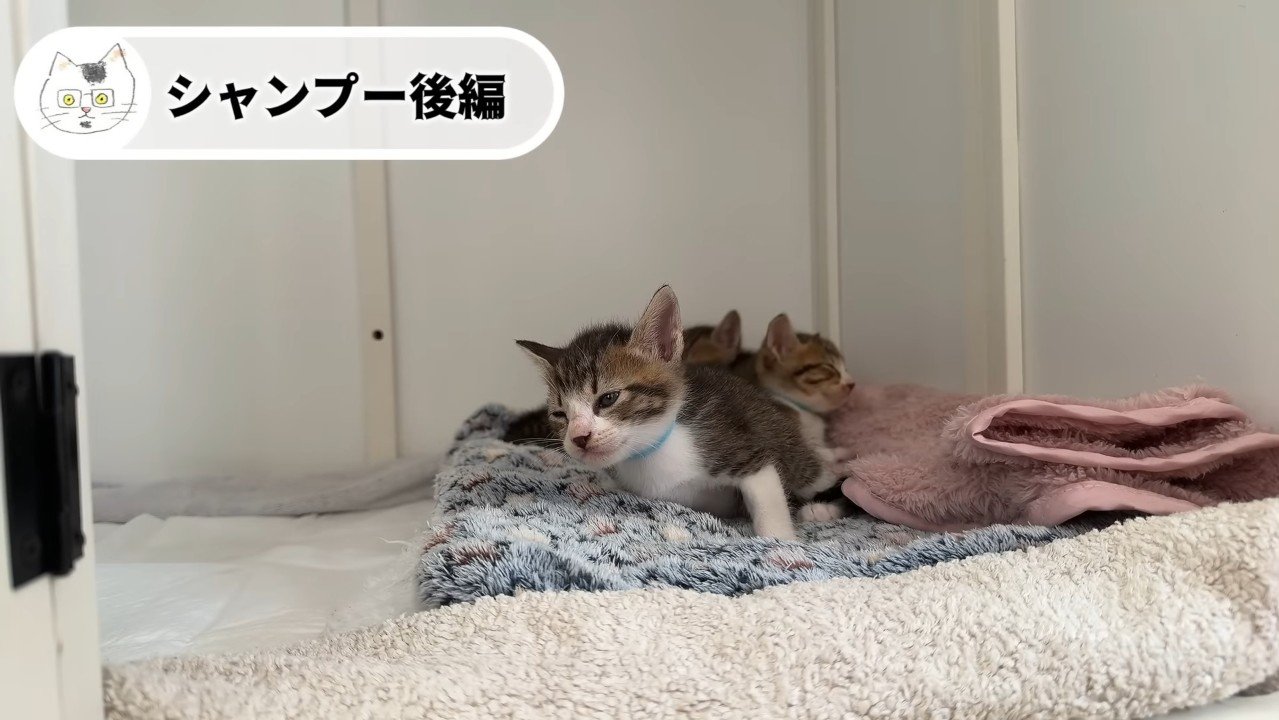 目を閉じそうに