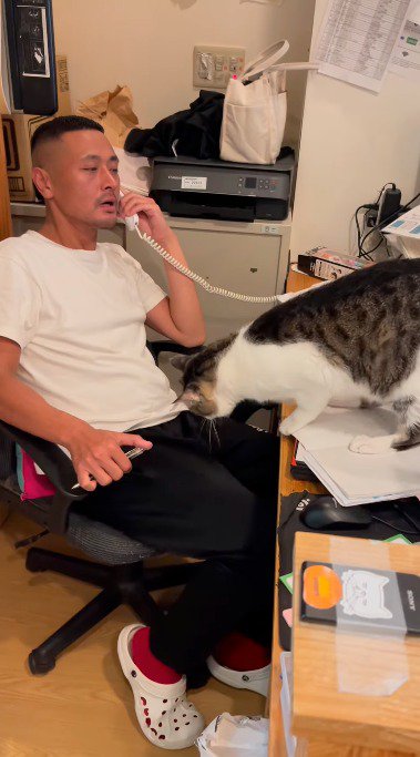 電話をする代表