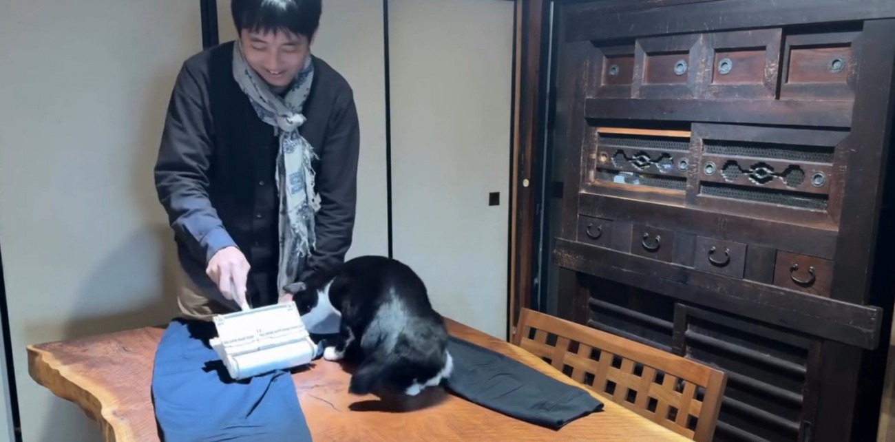 服の毛を取る飼い主と猫