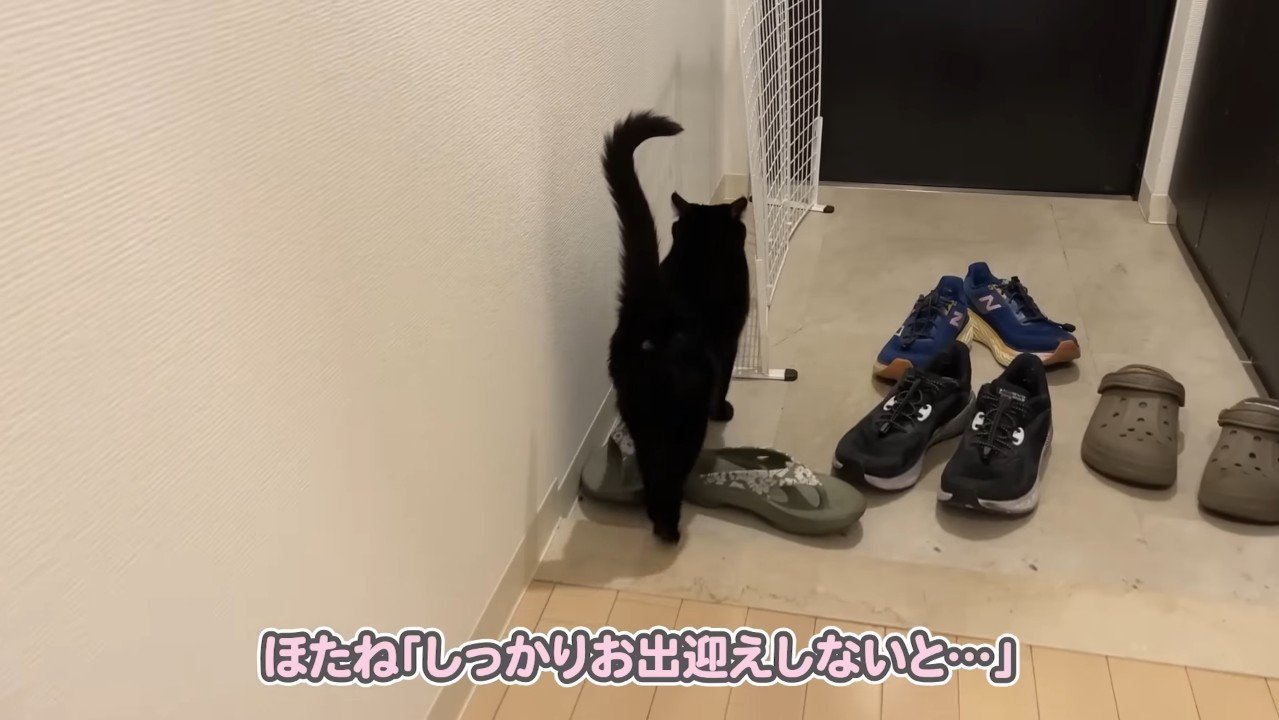 しっかりお出迎えしないと…