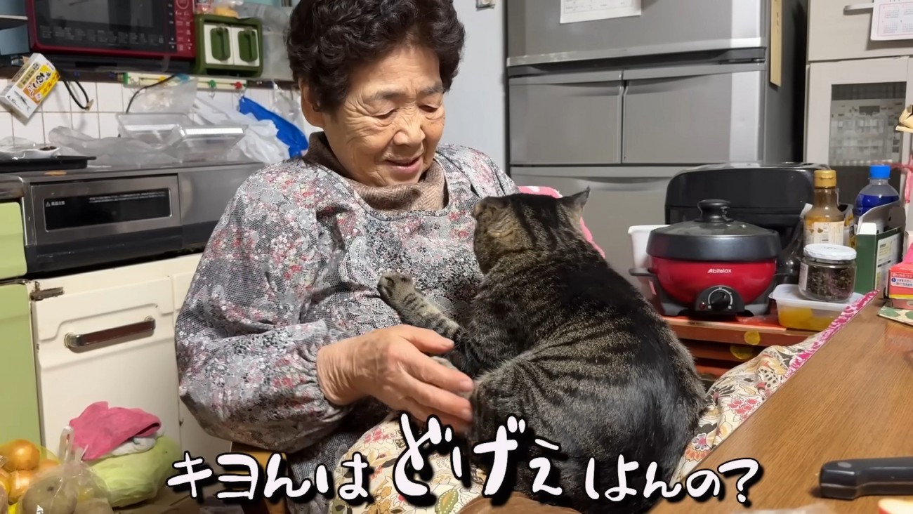 おばあちゃんと猫