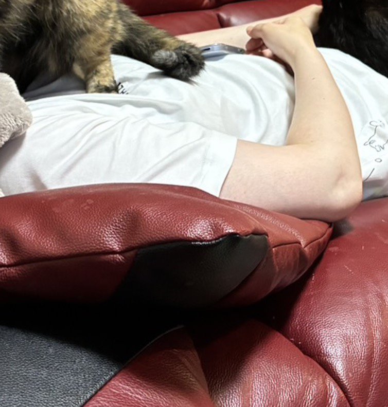 ソファの上で眠る飼い主