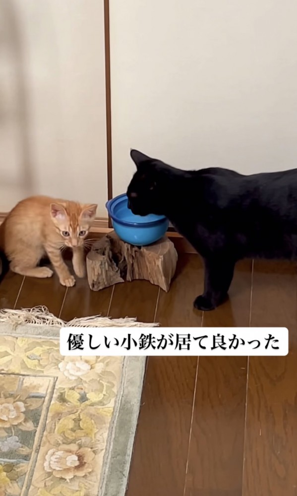 「優しい小鉄が居て良かった」のテロップ写真