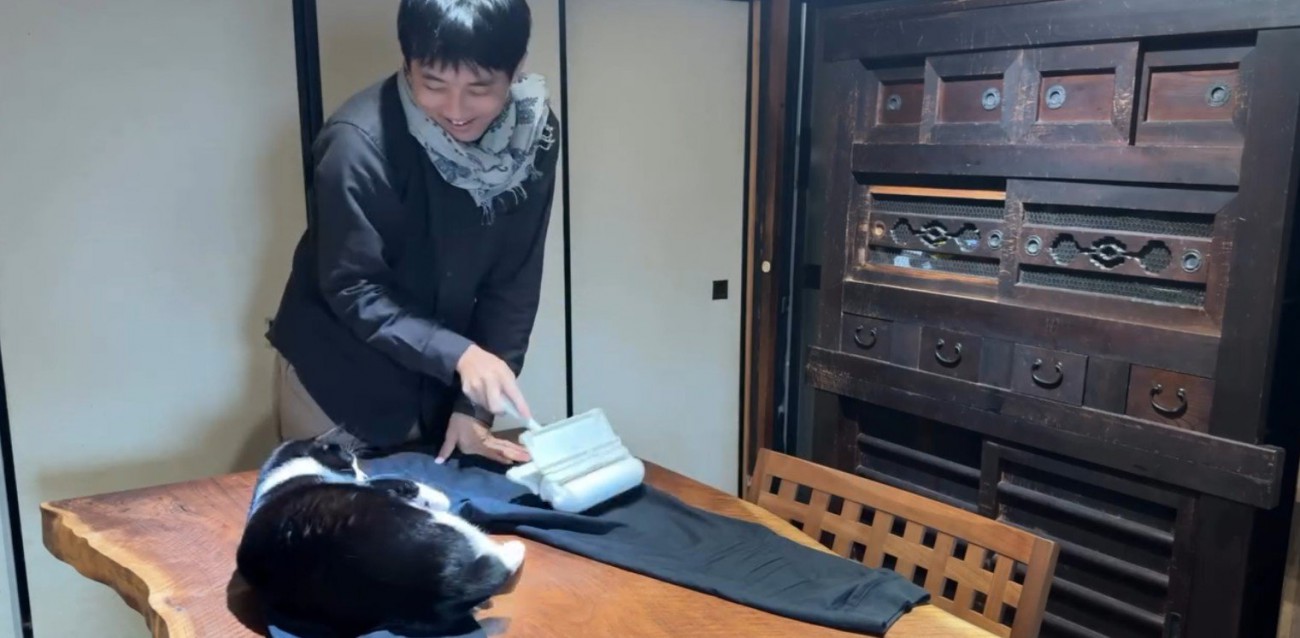 服の毛を取る飼い主と猫