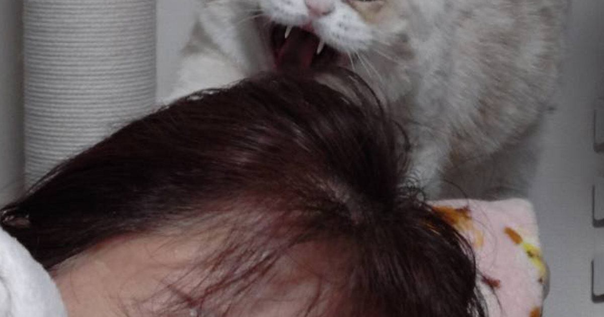 眠っている女性と猫