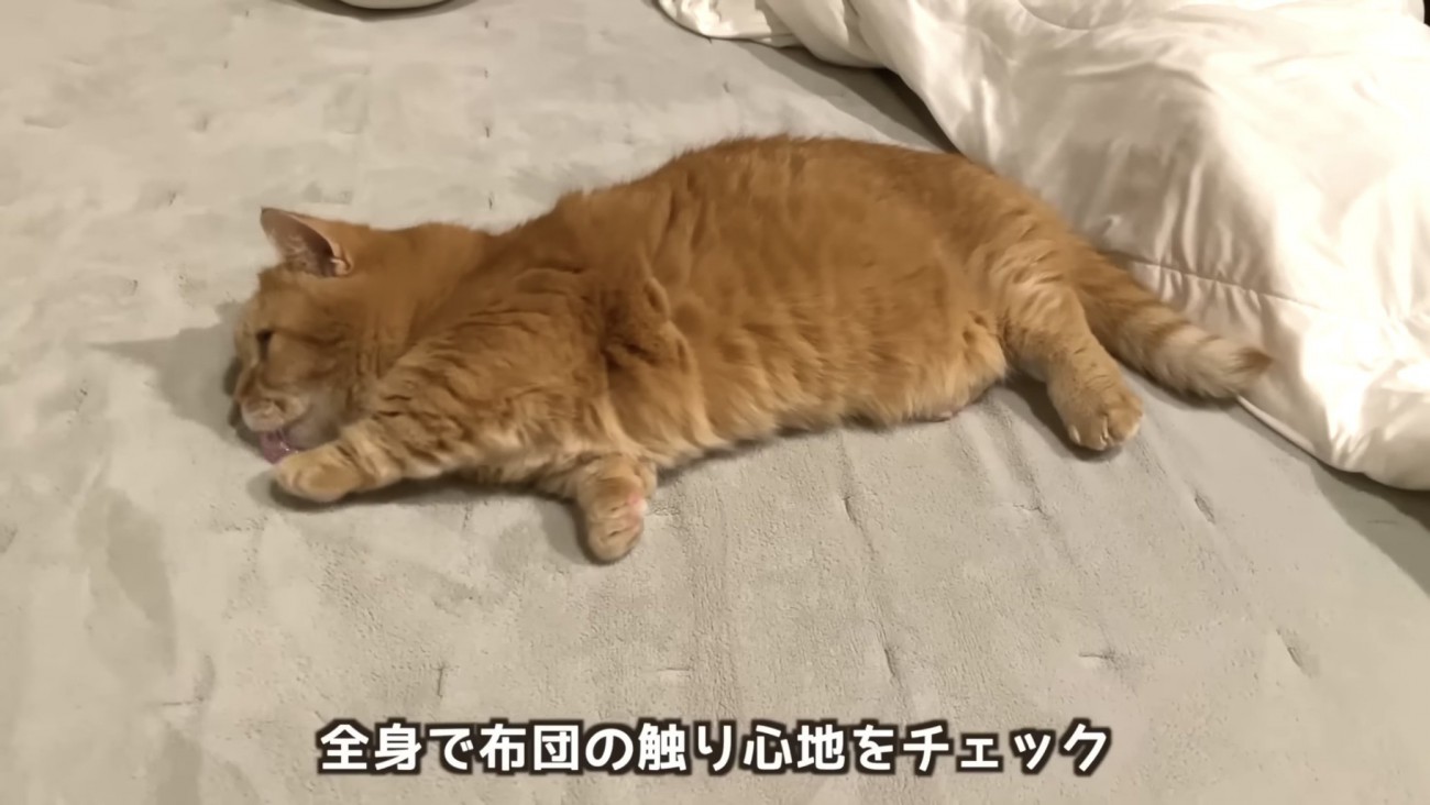 「全身で...」のテロップ写真