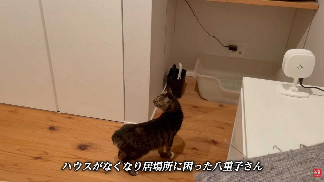 テロップ「ハウスがなくなり～」