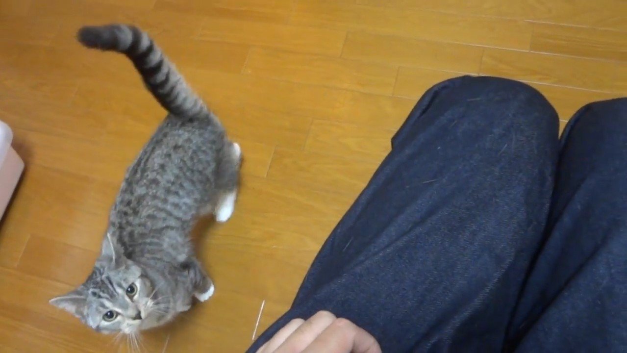 下から見上げて