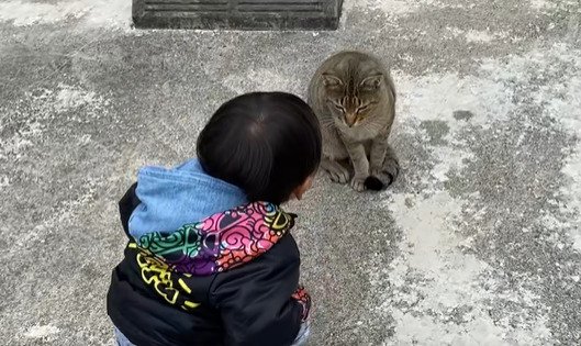男の子と猫