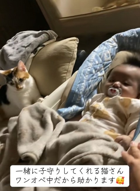 赤ちゃんがいるベビーベッドに手をかけているミケ猫