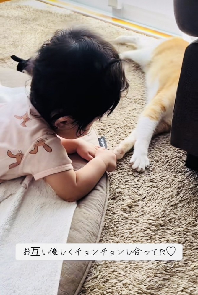 茶白猫の前足に触る赤ちゃん