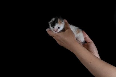 目が開き始めたいちえちゃん