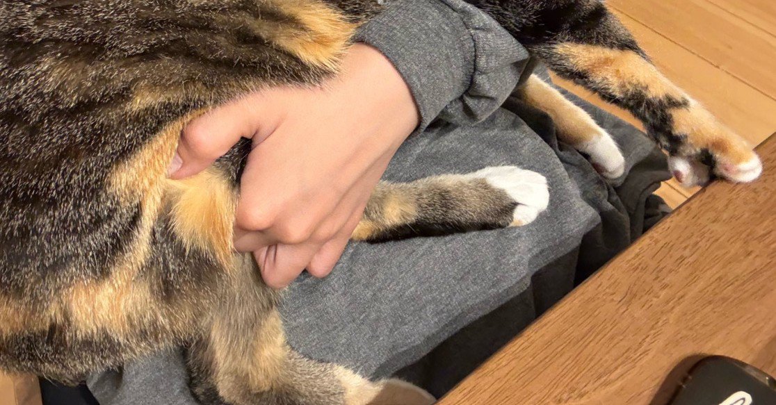 手の部分のアップ