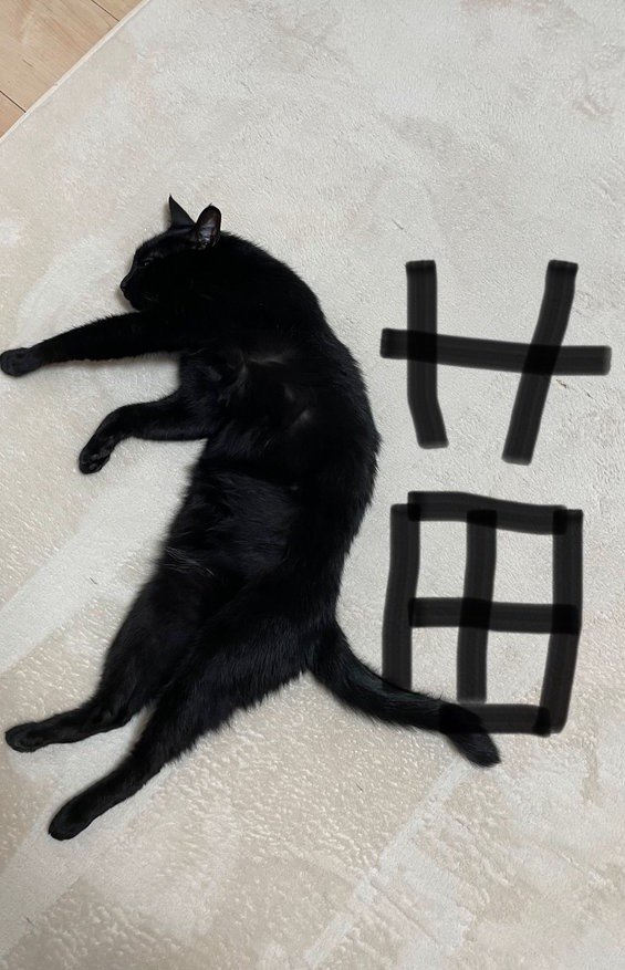 床に寝転がる猫と、猫の隣に書き込まれた『苗』の字
