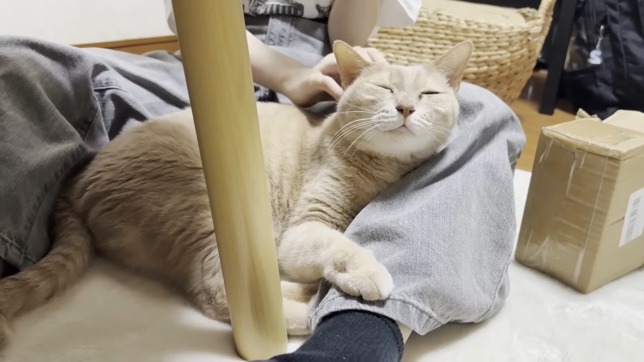 目を細めた表情