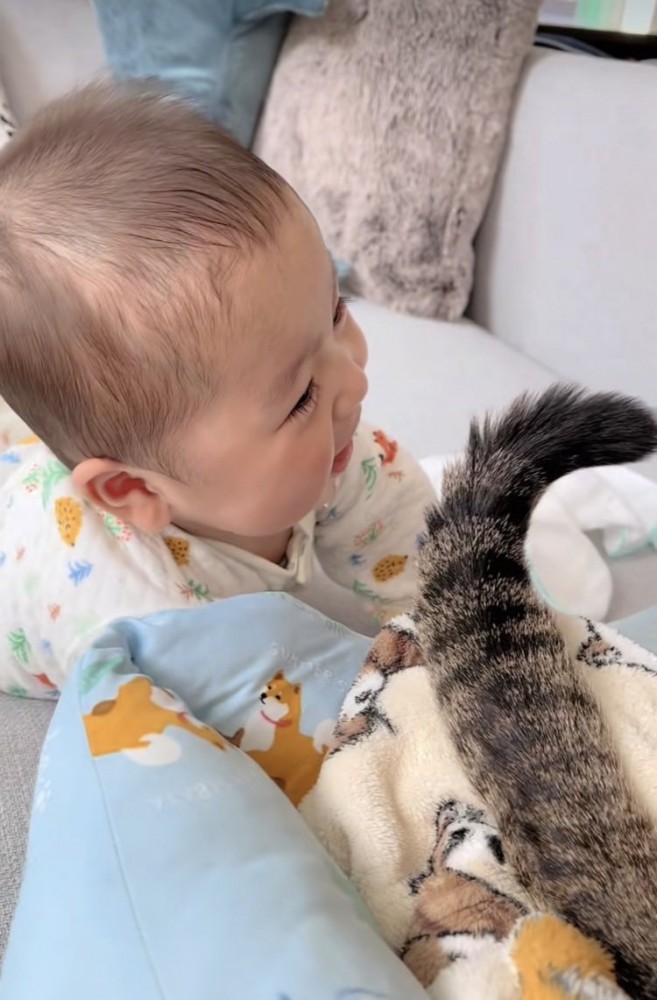 赤ちゃんを尻尾であやすキジトラ猫