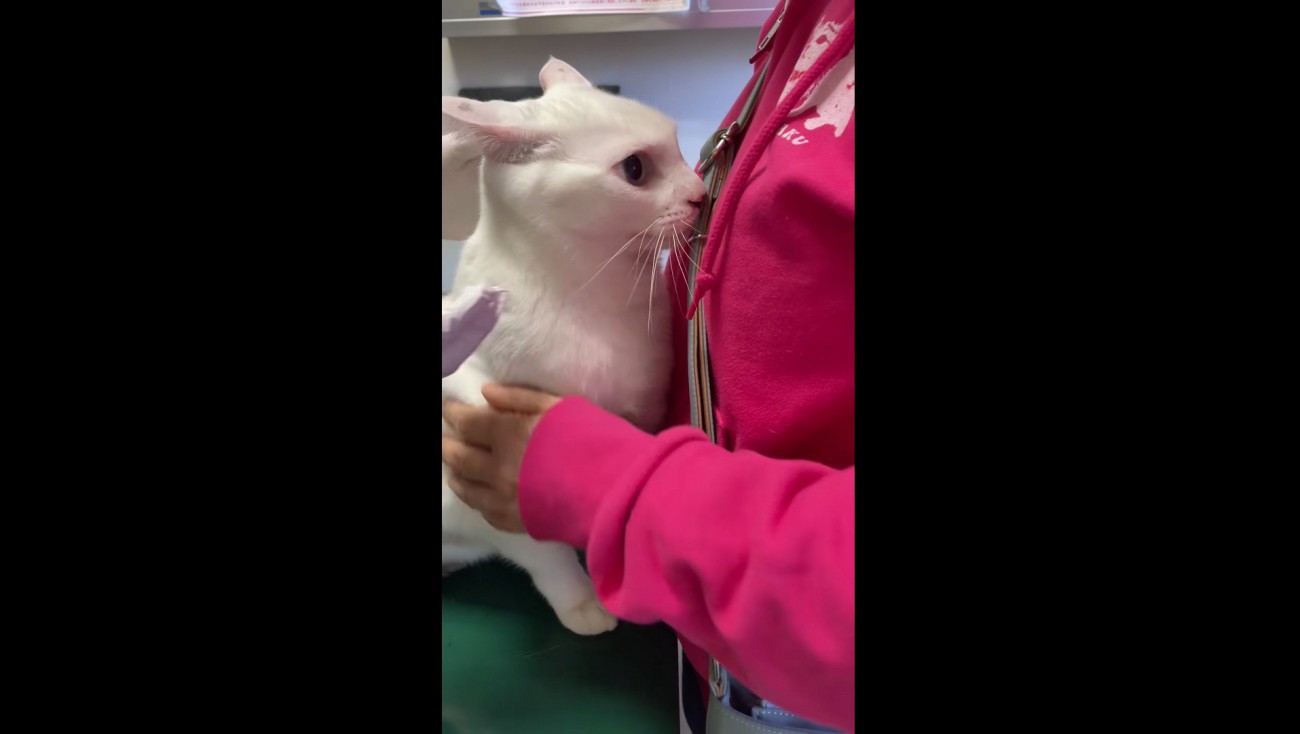 怖がっている様子