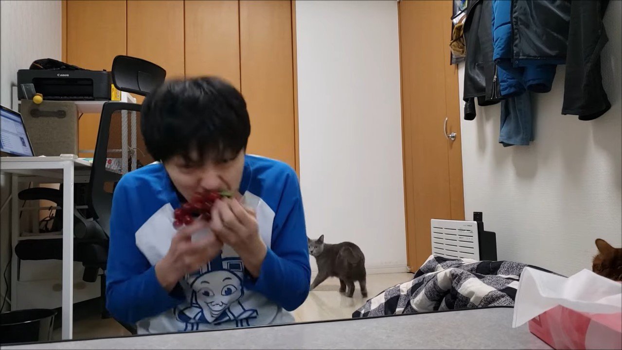 遠くから振り返るすずまろくん