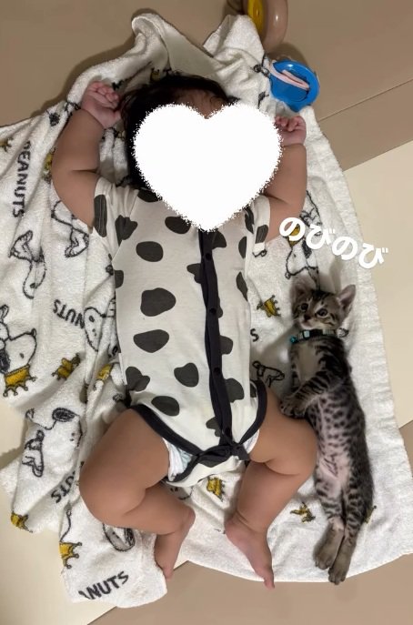 寝ている赤ちゃんに寄り添って体を伸ばして寝ている子猫