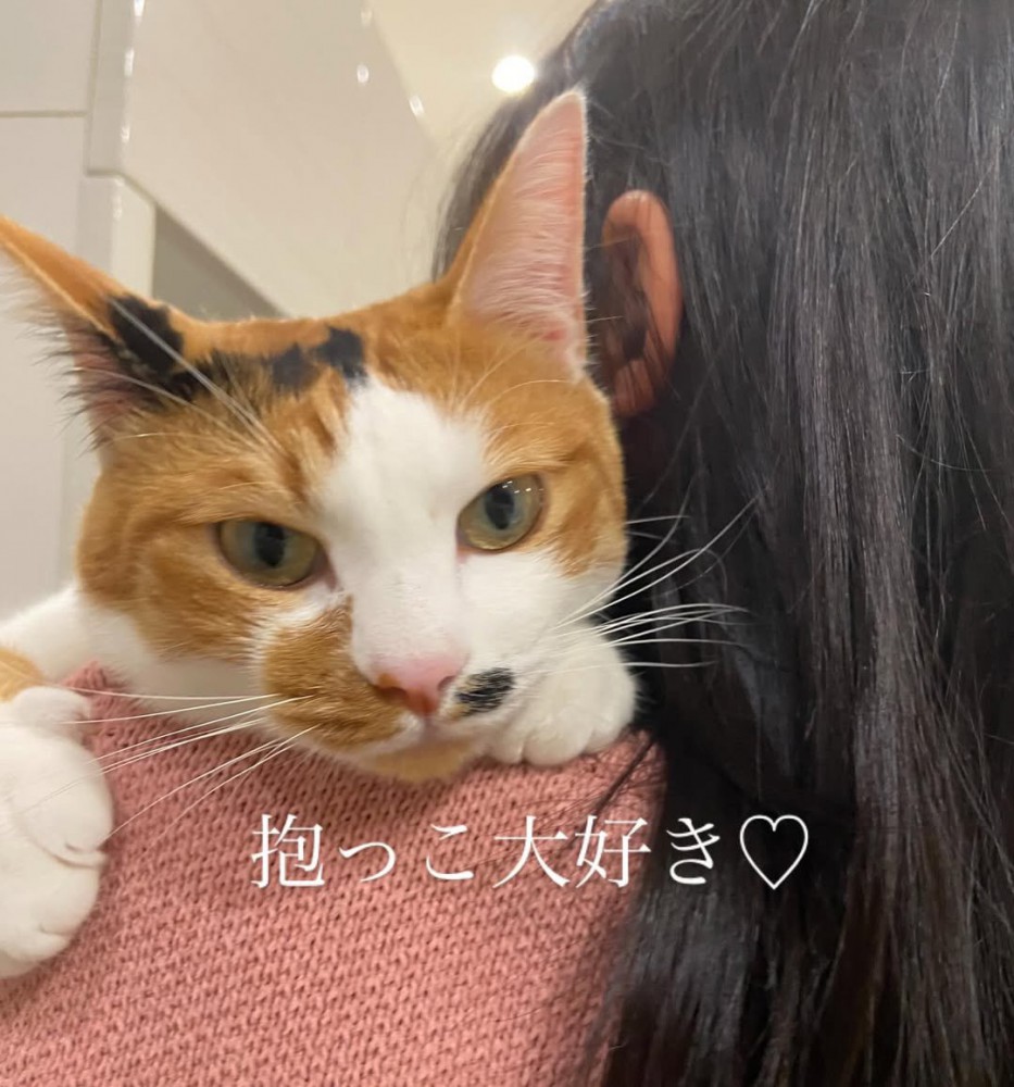 抱っこされる猫