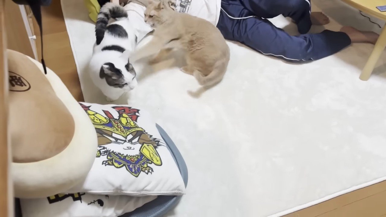 パンチ