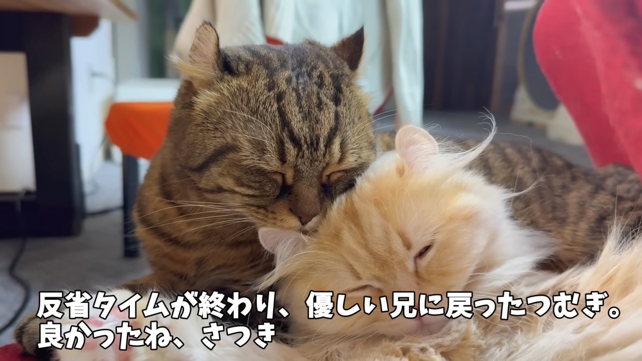 一緒に寝ている写真2