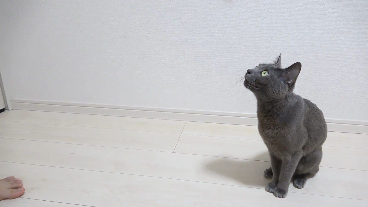 座りながら見上げる姿