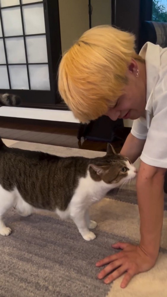 男性の腕の匂いを嗅ぐ猫