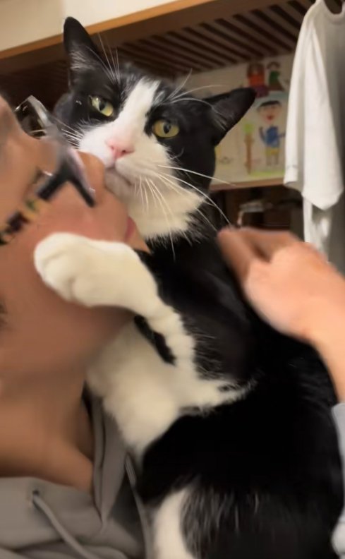 子どもに抱っこされて左前足を上げている猫