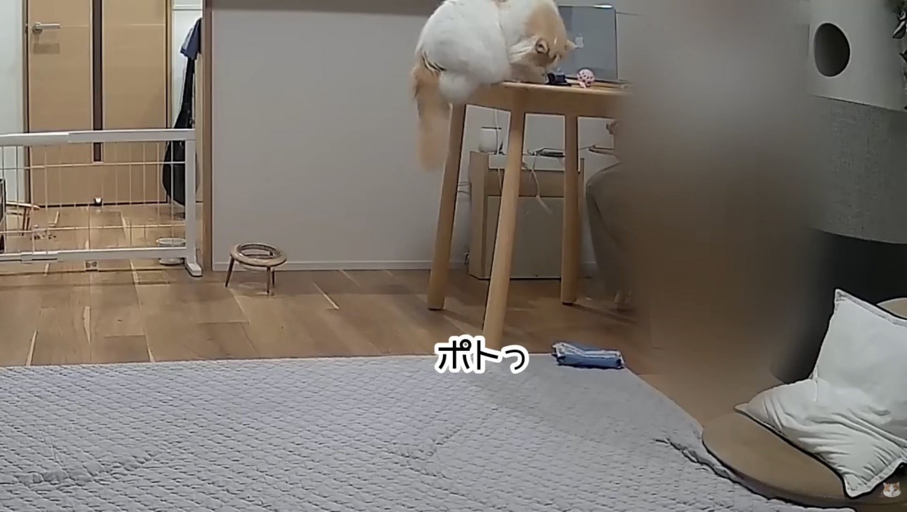 小物を落とすレモンくん