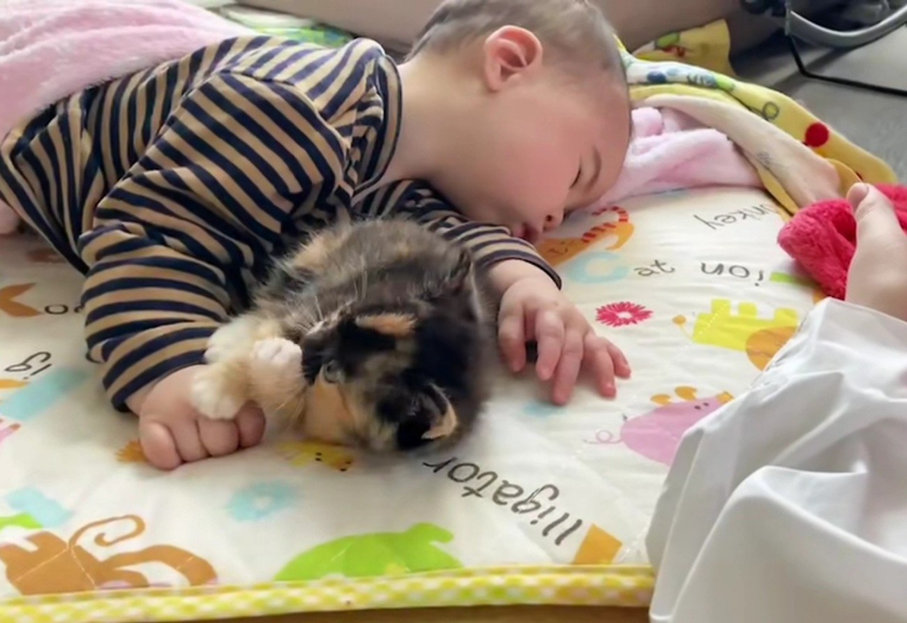 寝ている赤ちゃんと子猫