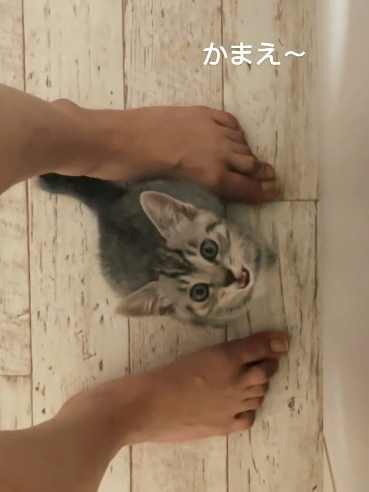 人の足の間に座る子猫