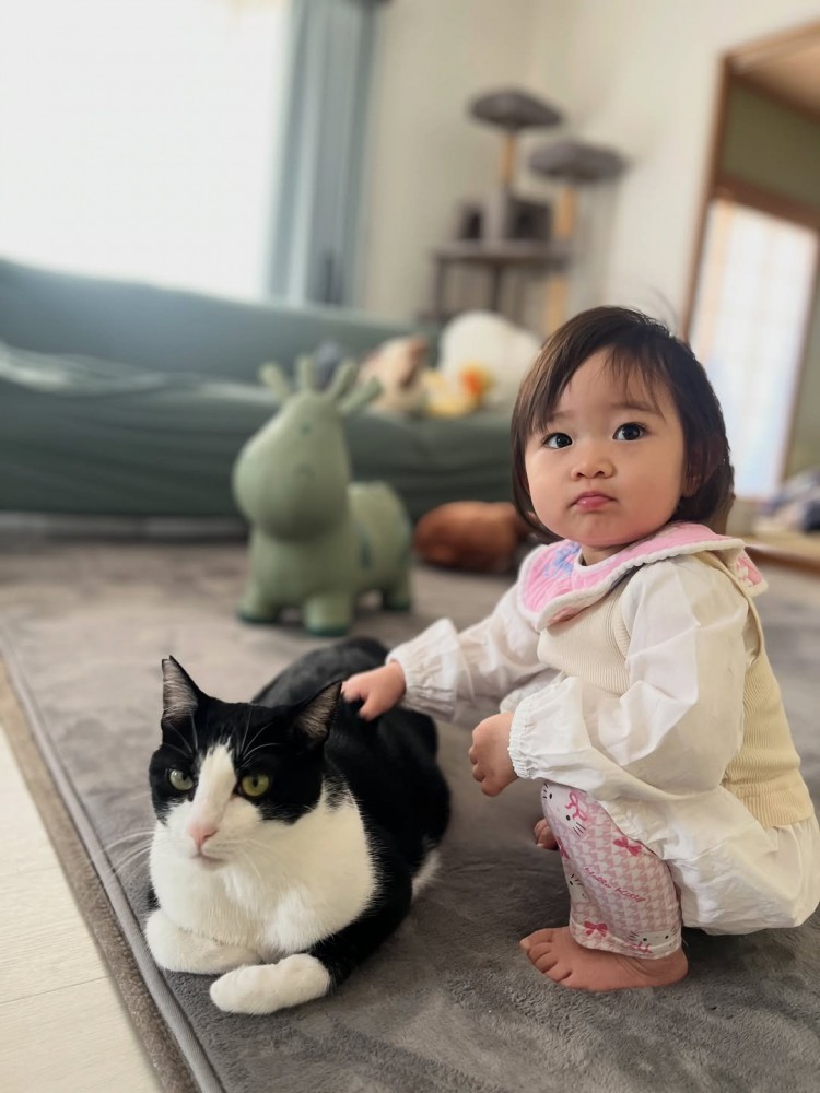 しゃがんで猫を触る子ども