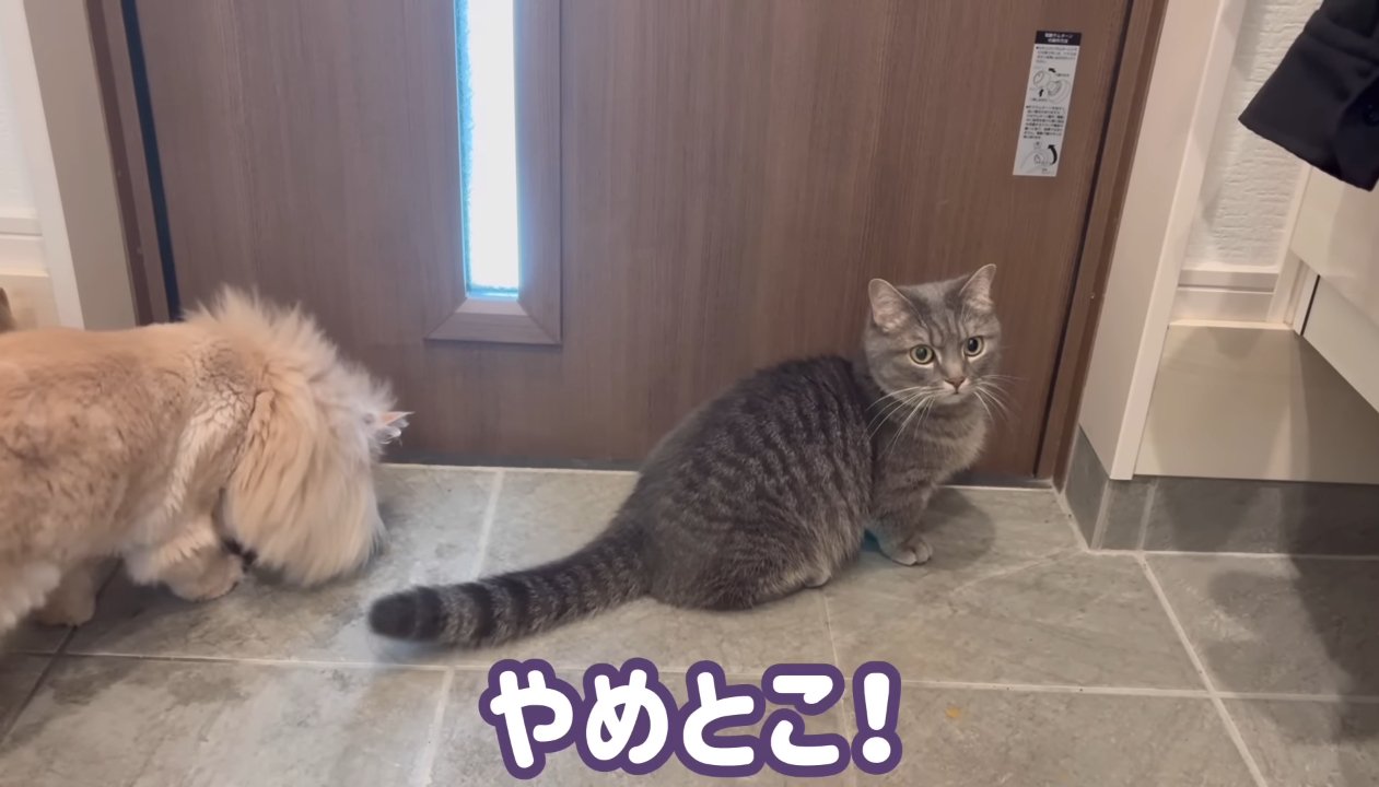 やめとこ！