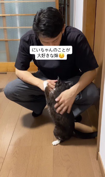 男性に甘える猫