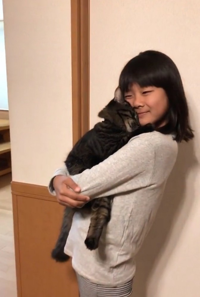 穏やかな表情で顔をすり寄せる猫