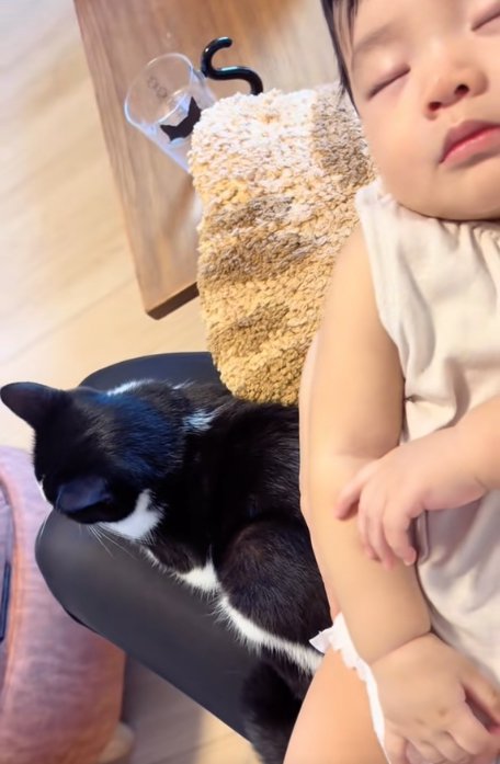 赤ちゃんを抱っこしている飼い主さんの膝の上に乗っている猫