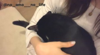飼い主さんに抱かれているあもちゃん