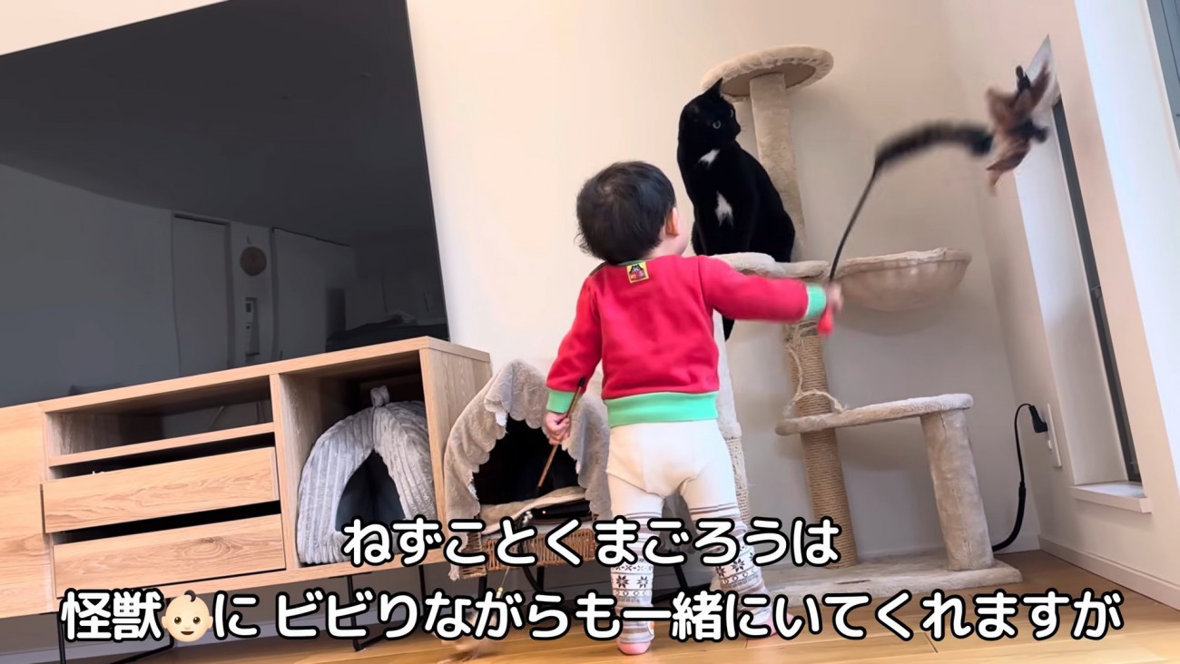テロップ「ねずことくまごろうは～」
