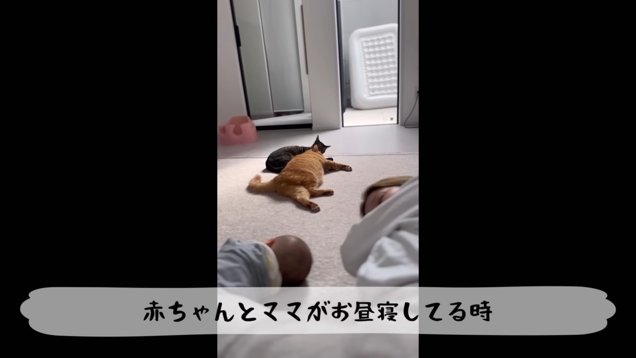 テロップ「赤ちゃんとママが～」