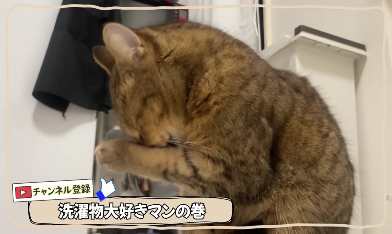 顔を洗うみにらくん