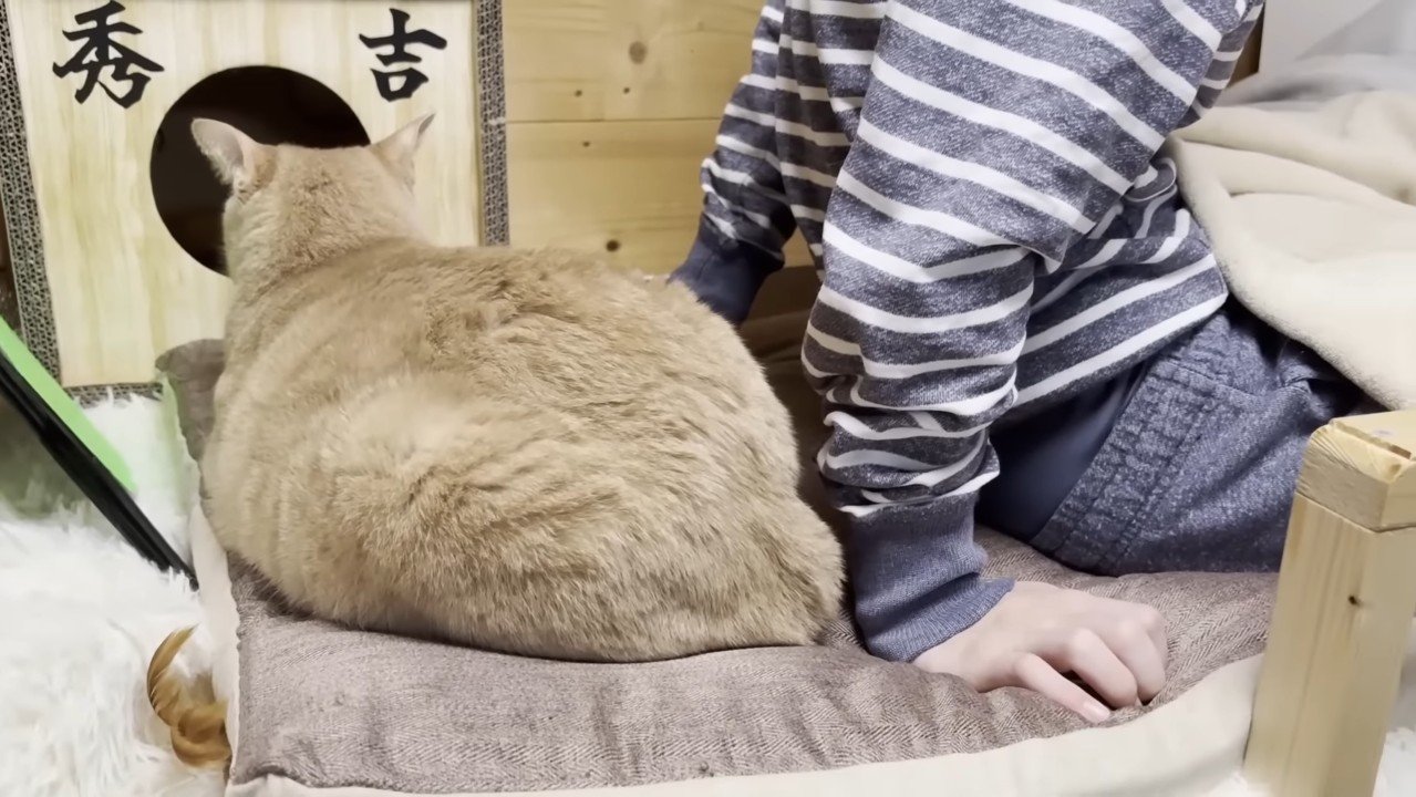 ひのきちゃんの後ろ姿