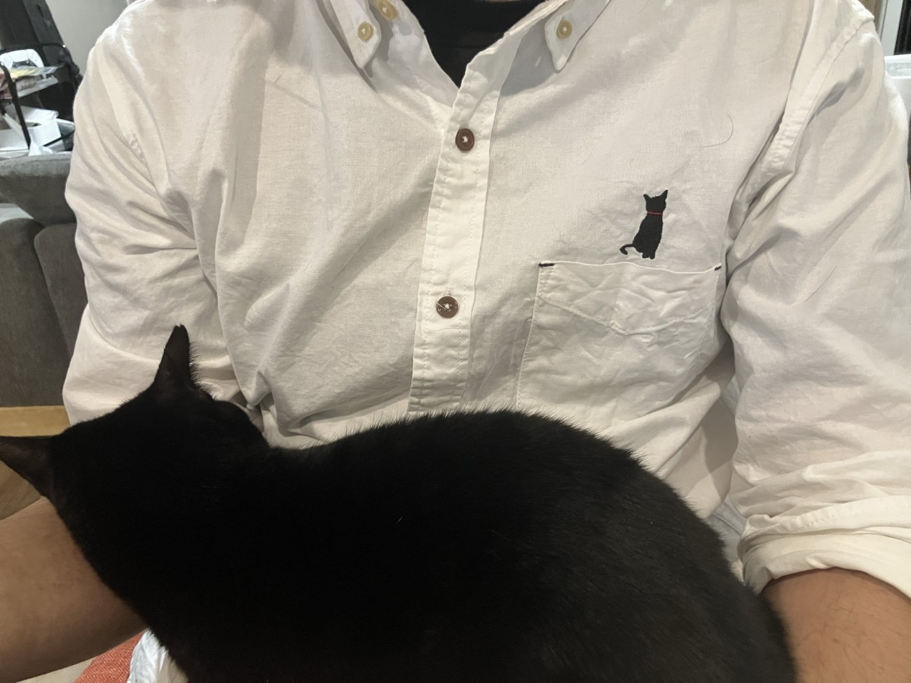 ご主人の上に座る猫