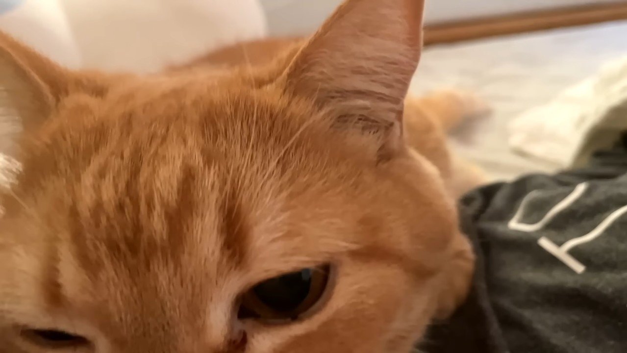 さらにドアップ