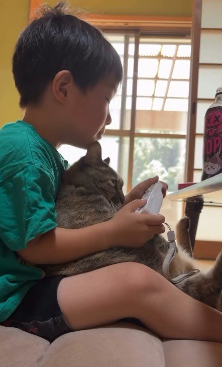 ゲームをしている男の子と猫