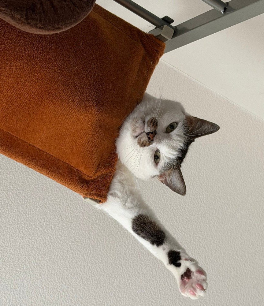 ういくんのアップ