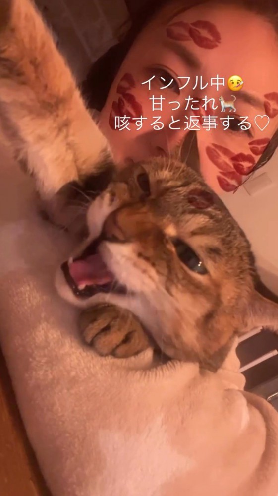 飼い主の咳を聞いて返事をする猫