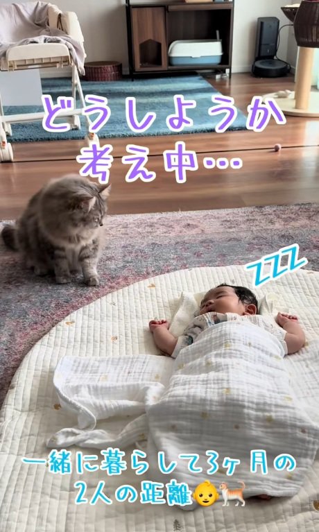 寝ている赤ちゃんのそばで思案する猫
